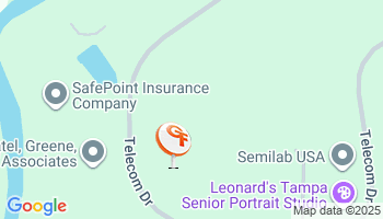 Tampa, FL Auto Insurance Agency